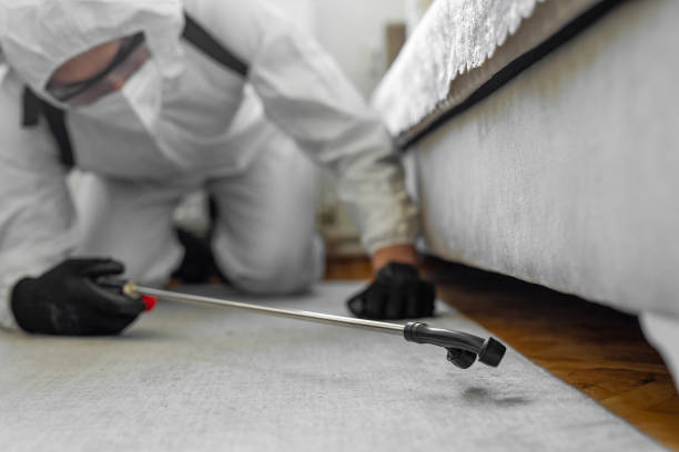 Professional Cockroach Control technician working in McConnell AFB, KS