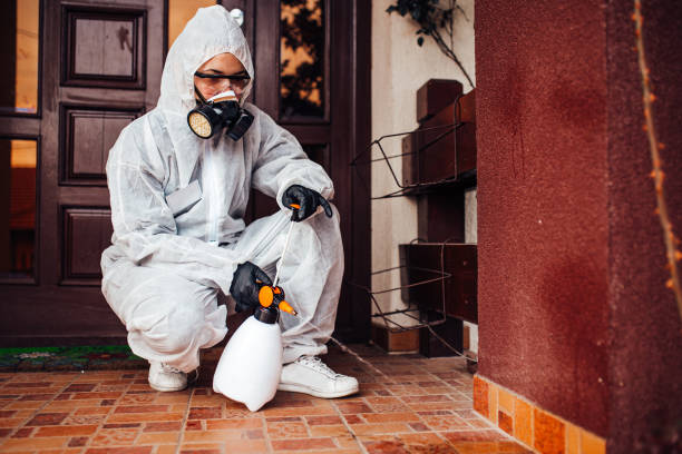 Reliable Cockroach Control contractor in McConnell AFB, KS by Nex Pest Control