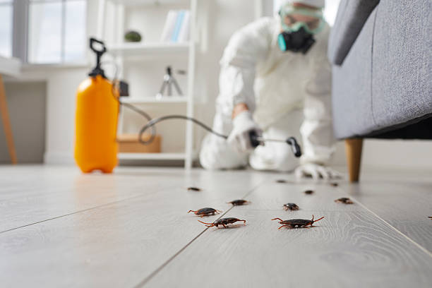 Affordable Cockroach Control solutions in McConnell AFB, KS