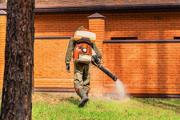 Top rated local Cockroach Control specialists in McConnell AFB, KS